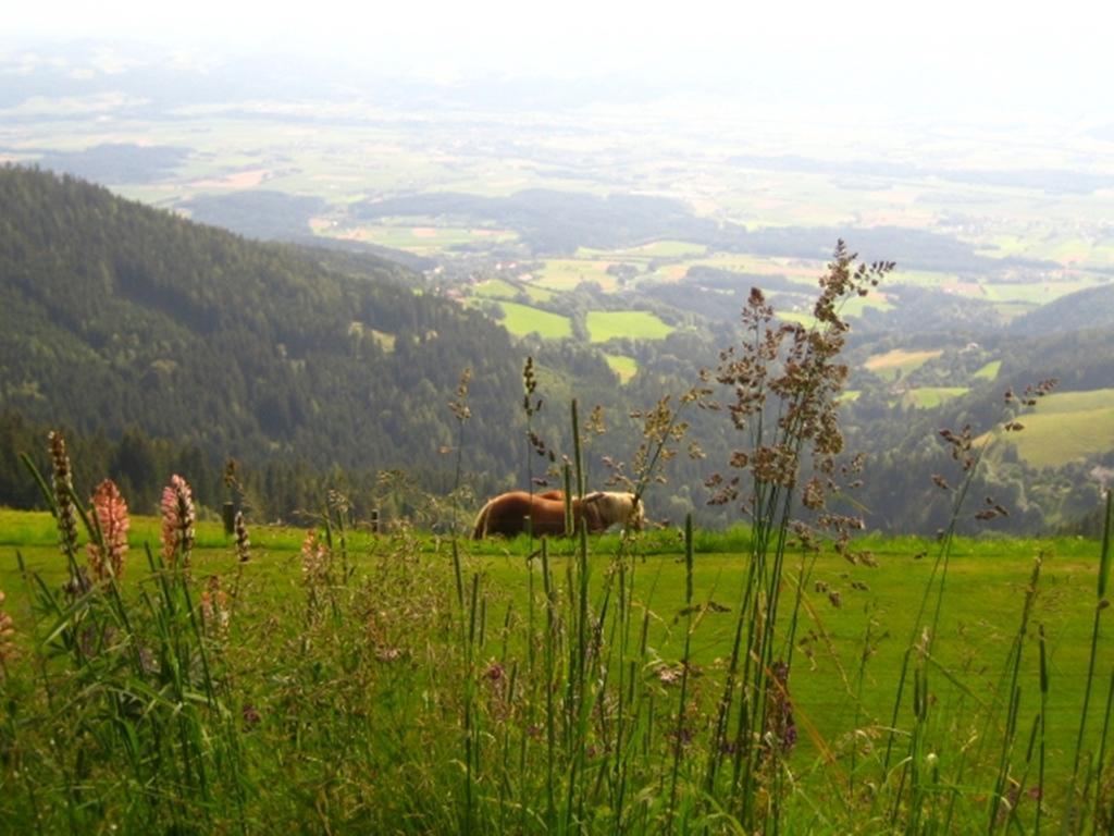 Alpenhotel Ozon Wolfgruber Wolfsberg Rom bilde