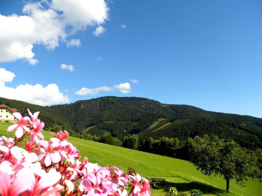 Alpenhotel Ozon Wolfgruber Wolfsberg Rom bilde